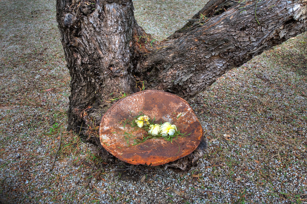 Tree, Bowl and Flowers